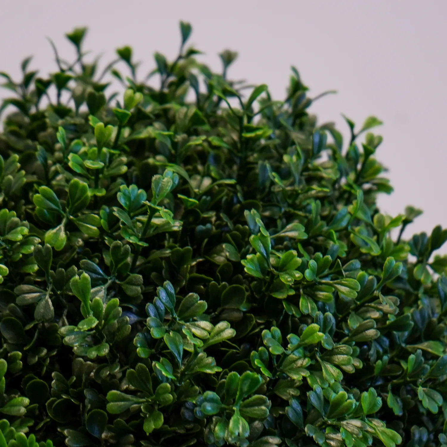 Artificial Outdoor Boxwood Hedges