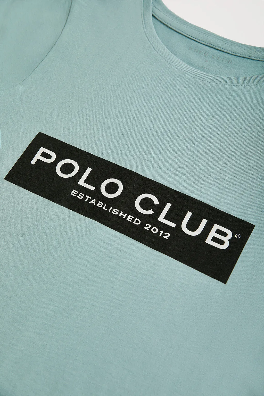 Camiseta azul con print en block Polo Club